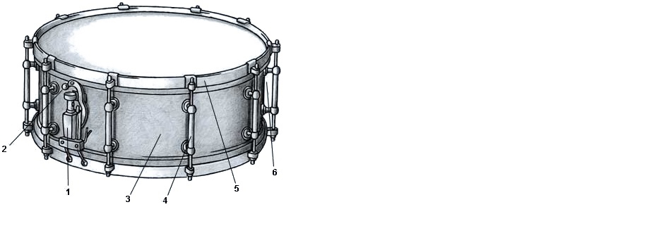 ساختار ساز اسنير درام (Snare Drum)